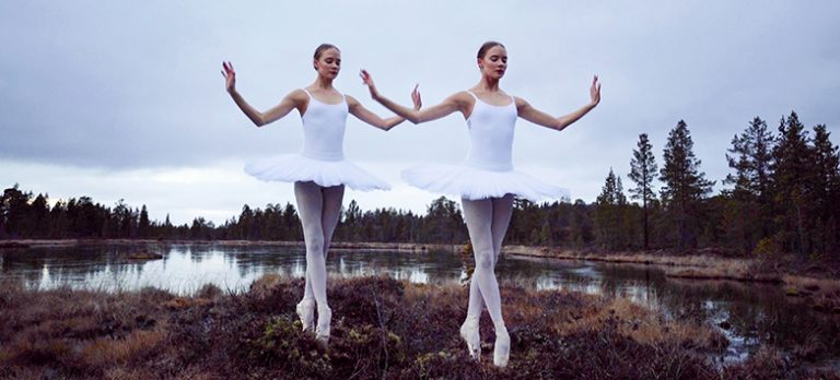 Birds in the Earth, Marja Helande 2017